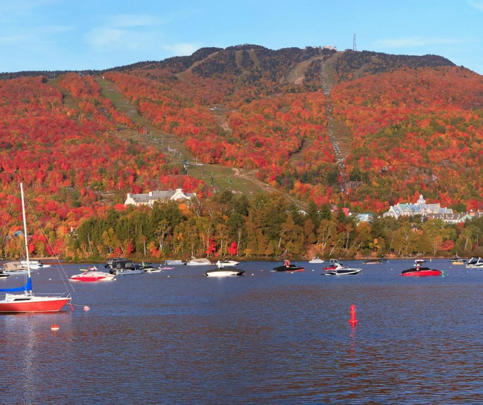 Amazing Lakemountain View 5Min To Tremblant 491 Μοντ Τρεμπλάν Εξωτερικό φωτογραφία